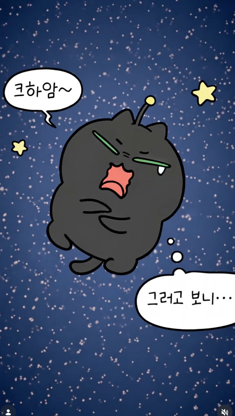 대원미디어 포트폴리오